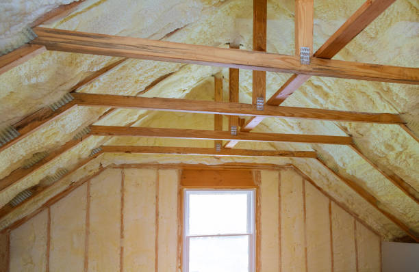 Best Insulation Removal Services  in Forsgate, NJ