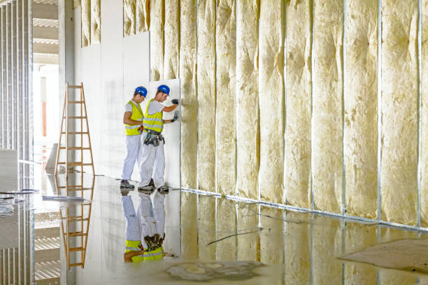 Best Insulation Removal  in Forsgate, NJ
